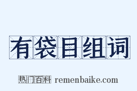 有袋目组词是什么意思的图片